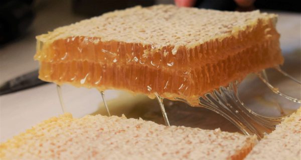 Cut Comb Honey - Image 3