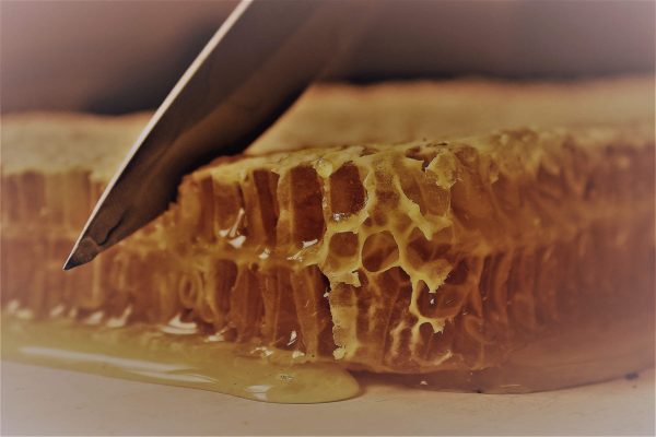 Cut Comb Honey - Image 4